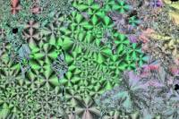 Vanilline après refroidissement rapide LPA x5